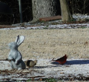 GEDSC DIGITAL CAMERA