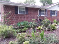 Part of the big shady garden out front, all cleaned up.