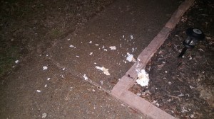 meringue-on-ground